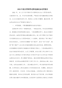 20XX年度分管领导述职述廉述法述学报告