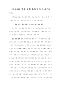 县长在20XX年县委全会暨县委经济工作会议上的讲话