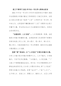 组工干部学习20XX年中央一号文件心得体会发言
