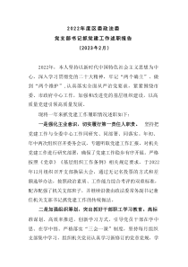 20XX年度区委政法委党支部书记抓党建工作述职报告