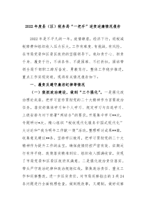 20XX年度县区税务局一把手述责述廉情况报告