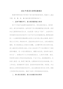 20XX年度县长述职述廉报告
