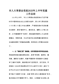 市人大常委会党组2025年上半年党建工作总结