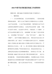 20XX年度司法局抓基层党建工作述职报告