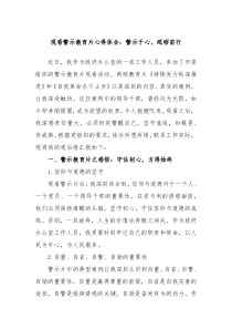 观看警示教育片心得体会警示于心砥砺前行