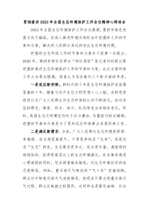 贯彻落实20XX年全国生态环境保护工作会议精神心得体会