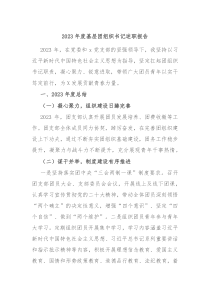 20XX年度基层团组织书记述职报告