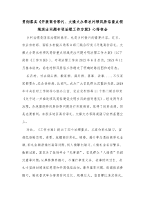 贯彻落实开展高价彩礼大操大办等农村移风易俗重点领域突出问题专项治理工作方案心得体会