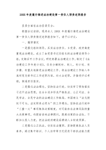 20XX年度履行推进法治建设第一责任人职责述职报告