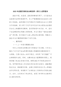 20XX年度履行推进法治建设第一责任人述职报告