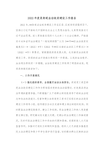 20XX年度某街道法治政府建设工作报告
