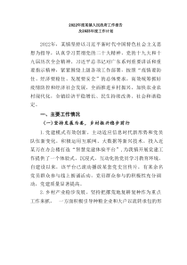 20XX年度某镇人民政府工作报告及20XX年度工作计划