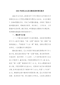 20XX年度民主生活会整改落实情况报告