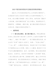 20XX年度民政局党组书记抓基层党建述职报告