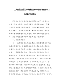 区纪委监委关于纪检监察干部队伍建设工作情况的报告