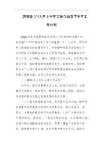 团市委2025年上半年工作总结及下半年工作计划
