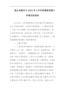 国企党委关于2025年上半年抓基层党建工作情况的报告
