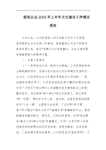 国有企业2025年上半年文化建设工作情况报告
