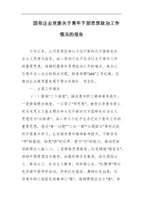 国有企业党委关于青年干部思想政治工作情况的报告