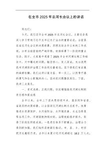 在全市2025年总河长会议上的讲话