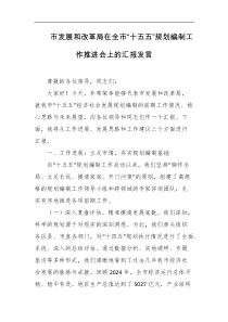 市发展和改革局在全市十五五规划编制工作推进会上的汇报发言