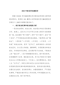 20XX年度述责述廉报告