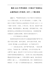 集团2025年贯彻落实中国共产党国有企业基层组织工作条例试行情况报告