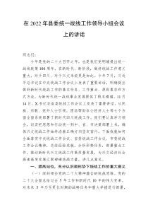 在20XX年县委统一战线工作领导小组会议上的讲话