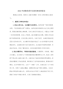 20XX年度镇党委书记抓党建述职报告3