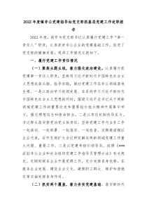 20XX年度镇非公党建指导站党支部抓基层党建工作述职报告
