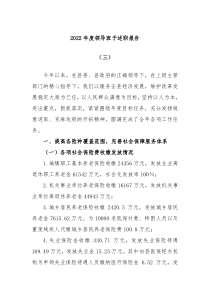 20XX年度领导班子述职报告三