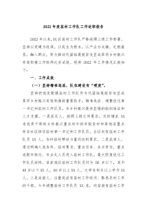 20XX年度驻村工作队工作述职报告