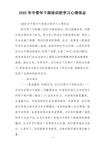 2025年中青年干部培训班学习心得体会