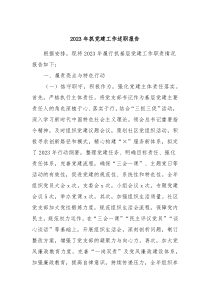 20XX年抓党建工作述职报告