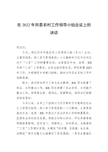 在20XX年市委农村工作领导小组会议上的讲话
