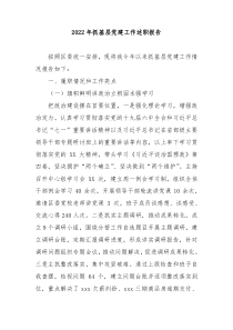 20XX年抓基层党建工作述职报告
