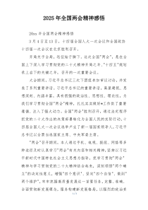 2025年全国两会精神感悟