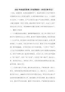 20XX年抓基层党建工作述职报告村党支部书记