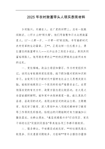2025年农村致富带头人现实表现材料