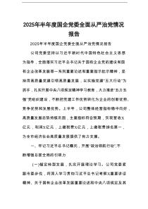 2025年半年度国企党委全面从严治党情况报告