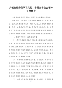 乡镇宣传委员学习党的二十届三中全会精神心得体会