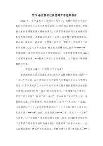 20XX年支部书记抓党建工作述职报告