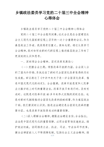 乡镇政法委员学习党的二十届三中全会精神心得体会