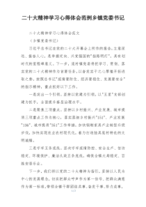 二十大精神学习心得体会范例乡镇党委书记