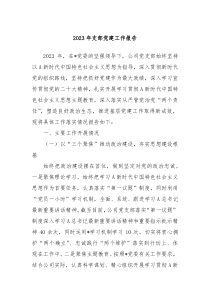20XX年支部党建工作报告