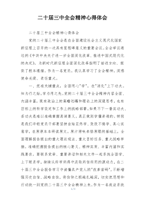 二十届三中全会精神心得体会