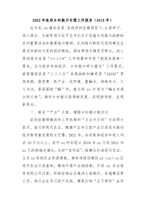 20XX年政府乡村振兴专题工作报告