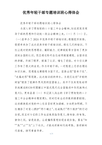 优秀年轻干部专题培训班心得体会