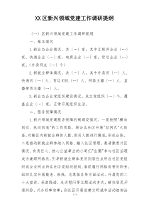 XX区新兴领域党建工作调研提纲