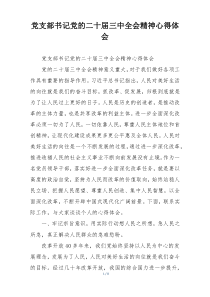党支部书记党的二十届三中全会精神心得体会
